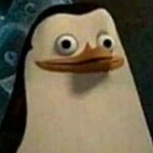 Meet your Posher, Scarlett